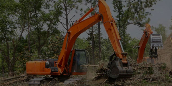 Lot & Land Clearing in Essex & Morris County NJ by T&D Tree Service