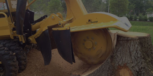 Stump Removal & Grinding in Essex & Morris County NJ by T&D Tree Service